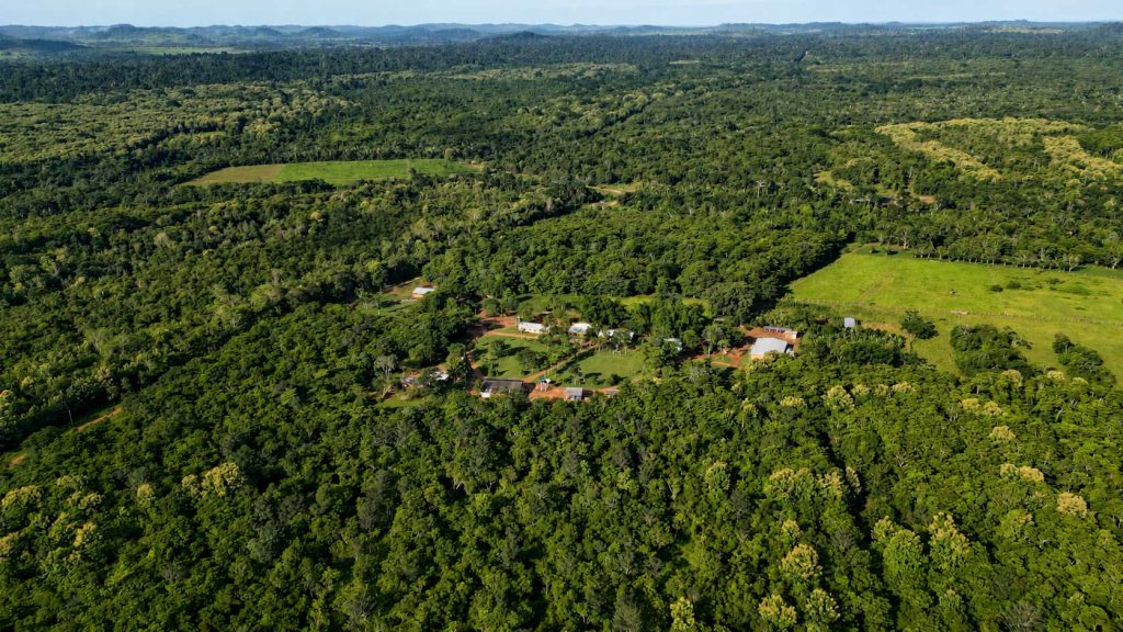 Projeto em MT já removeu mais de 700 mil t de carbono da atmosfera