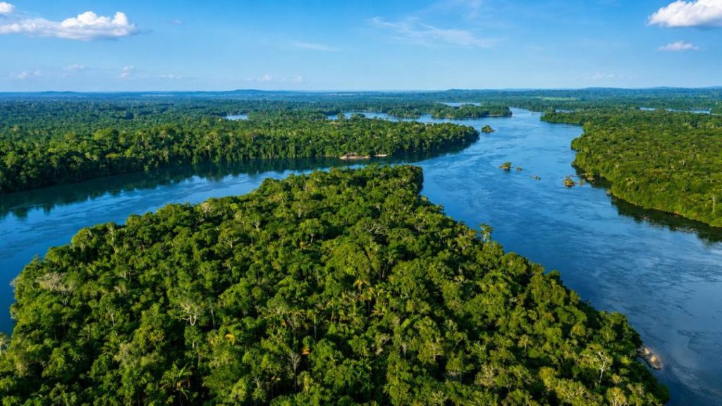 Projeto de reflorestamento na Amazônia mato-grossense ultrapassa 700 mil toneladas de CO₂